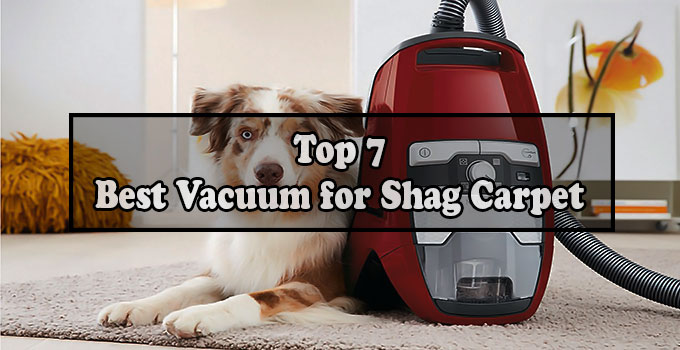 Best Vacuum for Shag Carpet