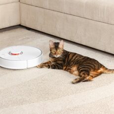 The Pros and Cons of Robot Vacuum Models