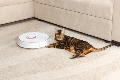 Pros and Cons of robot vacuum