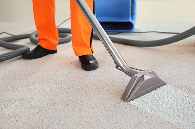 Wet vs Dry Carpet Cleaning